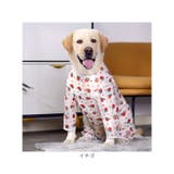 中大型犬の服 春夏秋冬 | BACKYARD FAMILY | 詳細画像17