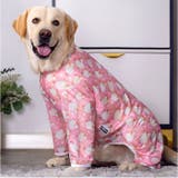 中大型犬の服 春夏秋冬 | BACKYARD FAMILY | 詳細画像4