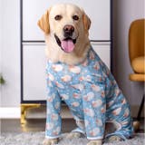 中大型犬の服 春夏秋冬 | BACKYARD FAMILY | 詳細画像5