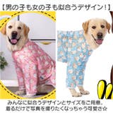 中大型犬の服 春夏秋冬 | BACKYARD FAMILY | 詳細画像8