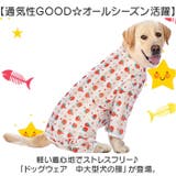 中大型犬の服 春夏秋冬 | BACKYARD FAMILY | 詳細画像2