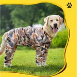 中大型犬の服 春夏秋冬 | BACKYARD FAMILY | 詳細画像11