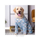 中大型犬の服 春夏秋冬 | BACKYARD FAMILY | 詳細画像14