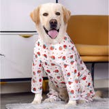 中大型犬の服 春夏秋冬 | BACKYARD FAMILY | 詳細画像3