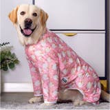 中大型犬の服 春夏秋冬 | BACKYARD FAMILY | 詳細画像4
