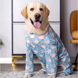 中大型犬の服 春夏秋冬 | BACKYARD FAMILY | 詳細画像5