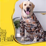 中大型犬の服 春夏秋冬 | BACKYARD FAMILY | 詳細画像10