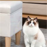 猫 爪とぎシート | BACKYARD FAMILY | 詳細画像11