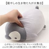 クールボルスター | BACKYARD FAMILY | 詳細画像5 