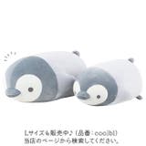 クールボルスター | BACKYARD FAMILY | 詳細画像10 