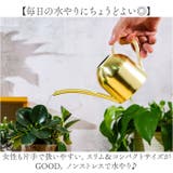 室内 おしゃれ 金属 じょうろ | BACKYARD FAMILY | 詳細画像7 