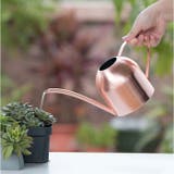 室内 おしゃれ 金属 じょうろ | BACKYARD FAMILY | 詳細画像10 