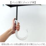 HAU PU 切り継ぎ長傘 55cm | BACKYARD FAMILY | 詳細画像8 