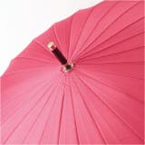 Natural basic 58cm 24本骨 傘 | BACKYARD FAMILY | 詳細画像12