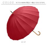 Natural basic 58cm 24本骨 傘 | BACKYARD FAMILY | 詳細画像17