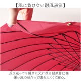 Natural basic 58cm 24本骨 傘 | BACKYARD FAMILY | 詳細画像6