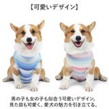 犬用術後服 ペット介護服 | BACKYARD FAMILY | 詳細画像9