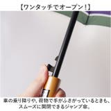 70cm 16本骨傘 メンズ | BACKYARD FAMILY | 詳細画像5 