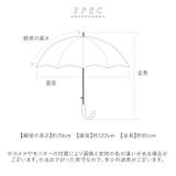 ATTAIN 紳士 晴雨兼用 長傘 70cm | BACKYARD FAMILY | 詳細画像15