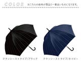 MENS 65cm ジャンプ 耐風 7本骨 傘 | BACKYARD FAMILY | 詳細画像16 