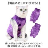 猫 術後服 オールシーズン | BACKYARD FAMILY | 詳細画像2