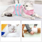 猫 術後服 オールシーズン | BACKYARD FAMILY | 詳細画像11