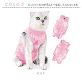 猫 術後服 オールシーズン | BACKYARD FAMILY | 詳細画像13