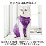 猫 術後服 オールシーズン | BACKYARD FAMILY | 詳細画像3