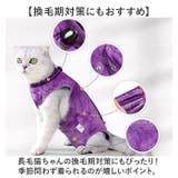 猫 術後服 オールシーズン | BACKYARD FAMILY | 詳細画像8