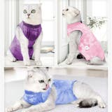 猫 術後服 オールシーズン | BACKYARD FAMILY | 詳細画像10