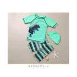 キッズ水着 上下セット | BACKYARD FAMILY | 詳細画像14