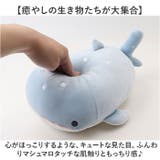 マシュマロアクアミエ ボルスター | BACKYARD FAMILY | 詳細画像6 