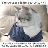 ペット服 浴衣 かわいい | BACKYARD FAMILY | 詳細画像7