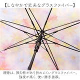 because ビコーズ クリアアンブレラ 長傘 | BACKYARD FAMILY | 詳細画像5 