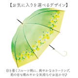 because ビコーズ クリアアンブレラ 長傘 | BACKYARD FAMILY | 詳細画像8 