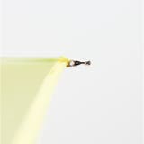 because ビコーズ クリアアンブレラ 長傘 | BACKYARD FAMILY | 詳細画像10 