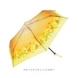 because ビコーズ クリアアンブレラ 折りたたみ傘 | BACKYARD FAMILY | 詳細画像17 