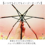 because ビコーズ クリアアンブレラ 折りたたみ傘 | BACKYARD FAMILY | 詳細画像4 