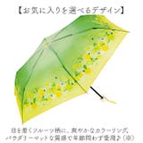 because ビコーズ クリアアンブレラ 折りたたみ傘 | BACKYARD FAMILY | 詳細画像7 