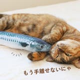 cwj09 猫おもちゃ | BACKYARD FAMILY | 詳細画像3 