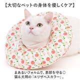エリザベスカラー 猫 犬 | BACKYARD FAMILY | 詳細画像2