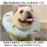 エリザベスカラー 猫 犬 | BACKYARD FAMILY | 詳細画像3