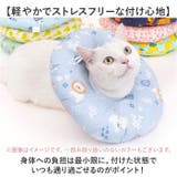 エリザベスカラー 猫 犬 | BACKYARD FAMILY | 詳細画像4