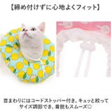 エリザベスカラー 猫 犬 | BACKYARD FAMILY | 詳細画像5