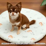 キャラクター 冷感ラウンドクッション | BACKYARD FAMILY | 詳細画像6 