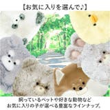 アニマルポーチ | BACKYARD FAMILY | 詳細画像4