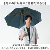 mabu マブ ストレングスジャンプライト EVO GOUU 8本骨 | BACKYARD FAMILY | 詳細画像2