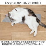 ひんやりアルミプレート涼感 小動物 | BACKYARD FAMILY | 詳細画像2