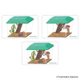 こびとづかん まじかる百貨店クリアカード(5) | BACKYARD FAMILY | 詳細画像3 