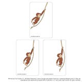 おさるのジョージ まじかる百貨店クリアカード(8) | BACKYARD FAMILY | 詳細画像3 